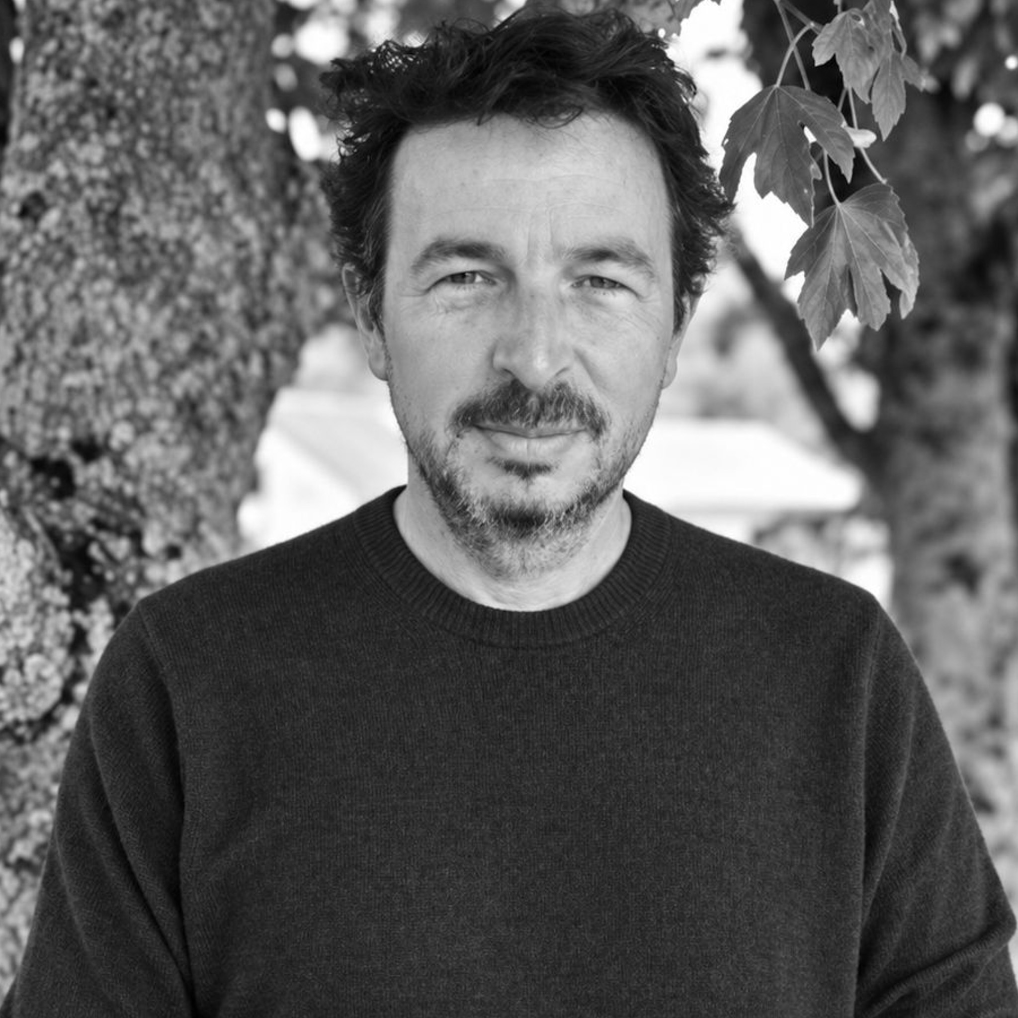 David Picard